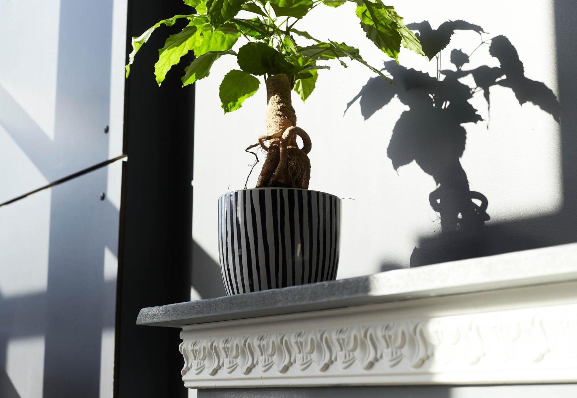 B&B Hotel Igny Palaiseau Luaran gambar